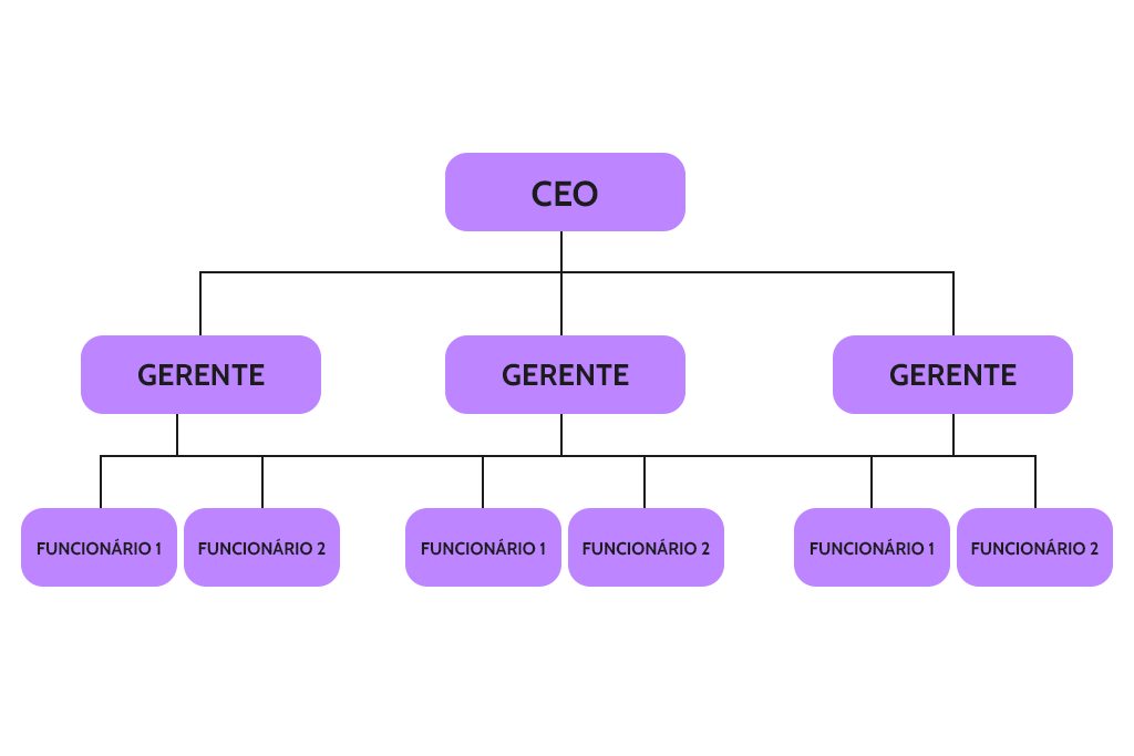 Estrutura organizacional